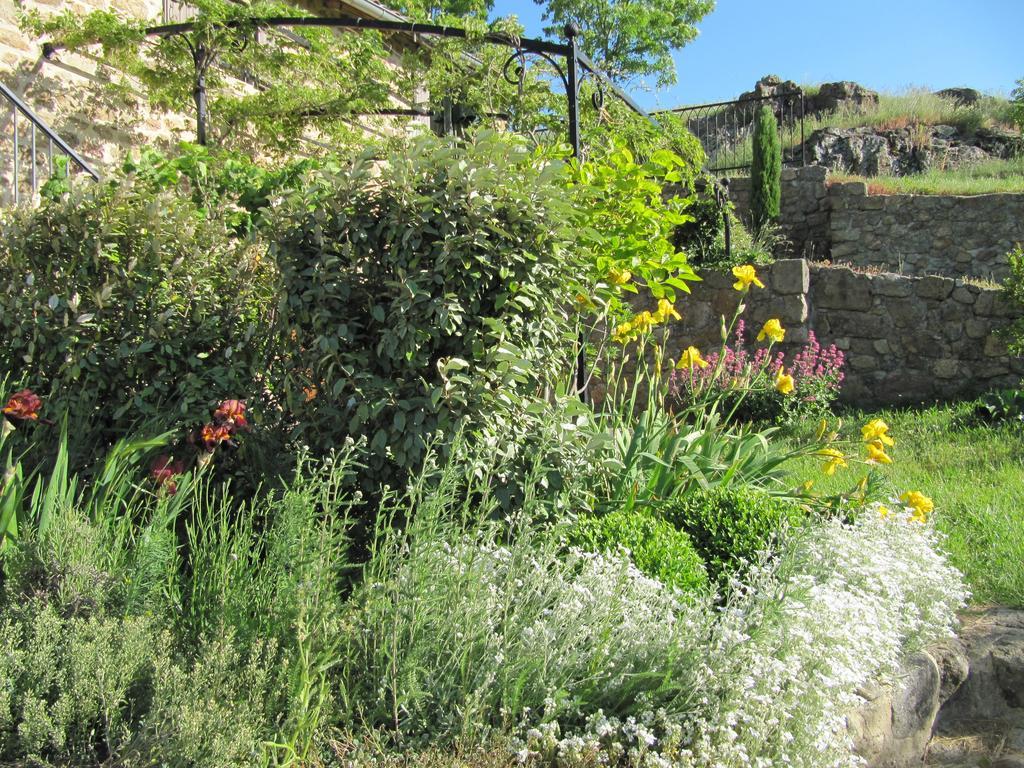 Le Petit Rias Gite Soleil Saint Maurice en Chalencon Exterior photo